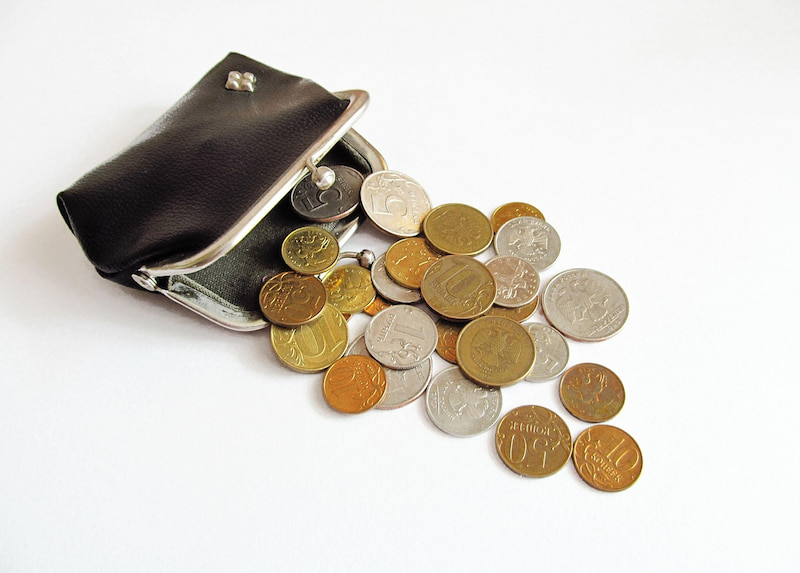 scpi-altixia-cadence-xii-2-52-euro-par-part-distribues-au-debut-de-2025