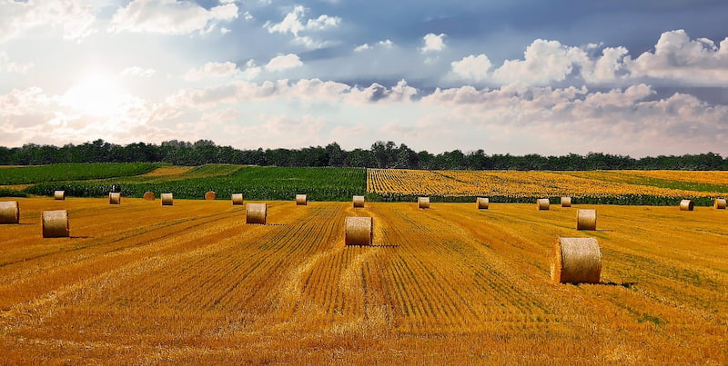 sc-terres-ivest-acquiert-75ha-de-terres-agricoles-en-hauts-de-france