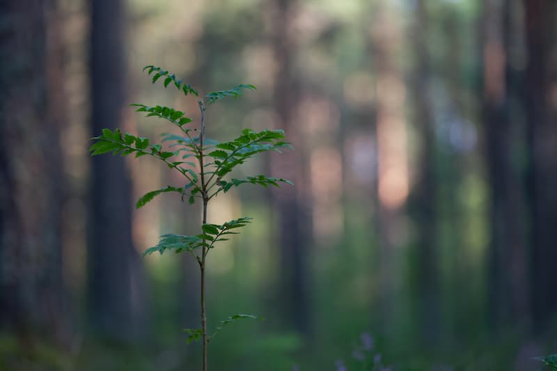 inter-gestion-reim-et-la-preservation-des-ressources-naturelles